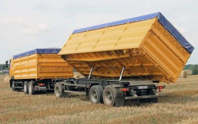 Услуги зерновозов для перевозки зерна - Грозный, цены, предложения специалистов