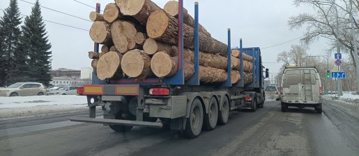 Поиск транспорта для перевозки леса, бревен и кругляка стоимость услуг и где заказать - Грозный